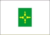 Foto da bandeira da Federação Paraquedismo do Distrito Federal