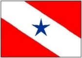 Foto da bandeira da Federação Paraense de Paraquedismo