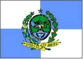 Foto da bandeira da Federação Carioca de Salto Livre
